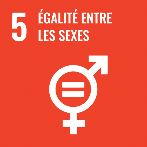 Égalité des chances