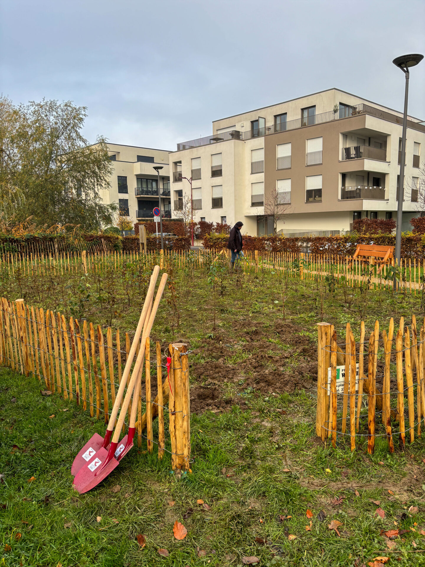 Micro forêt