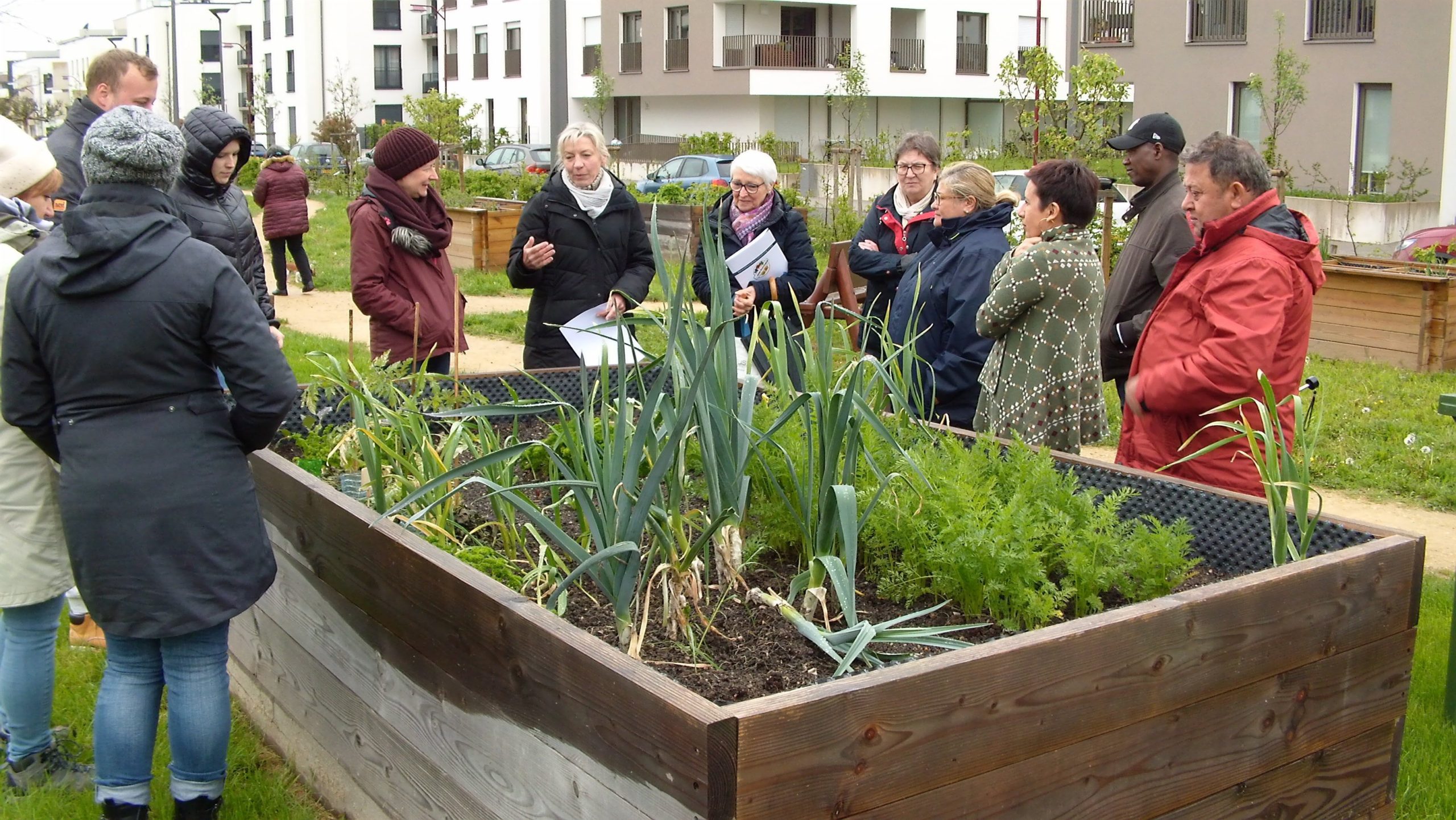 Urban Gardening