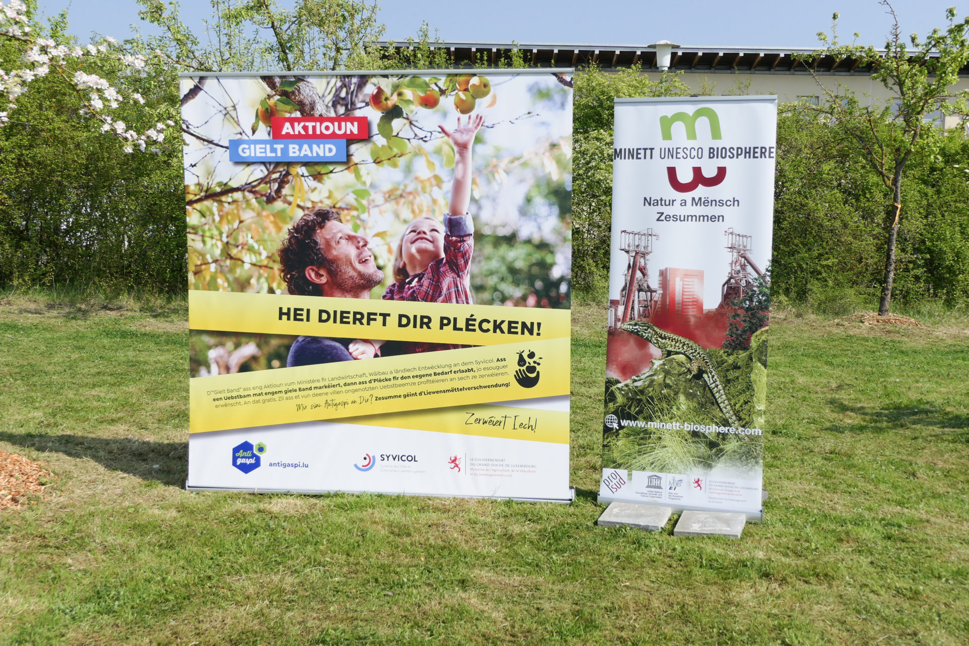 Action « Gielt Band » – Ici, la cueillette est autorisée